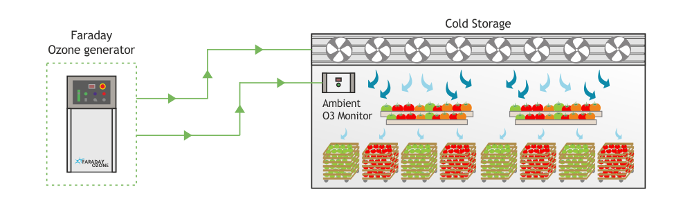 ozone-treatment-in-cold-storage-diagram-faraday-ozone-india